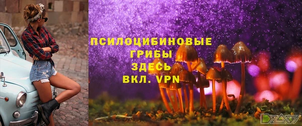spice Приозерск